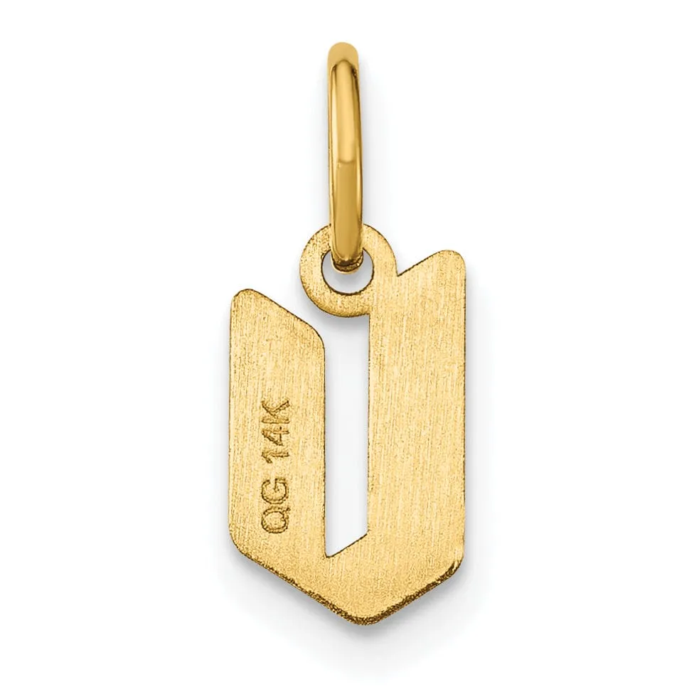 14K Yellow Gold Lower Case Letter V Initial Charm Pendant