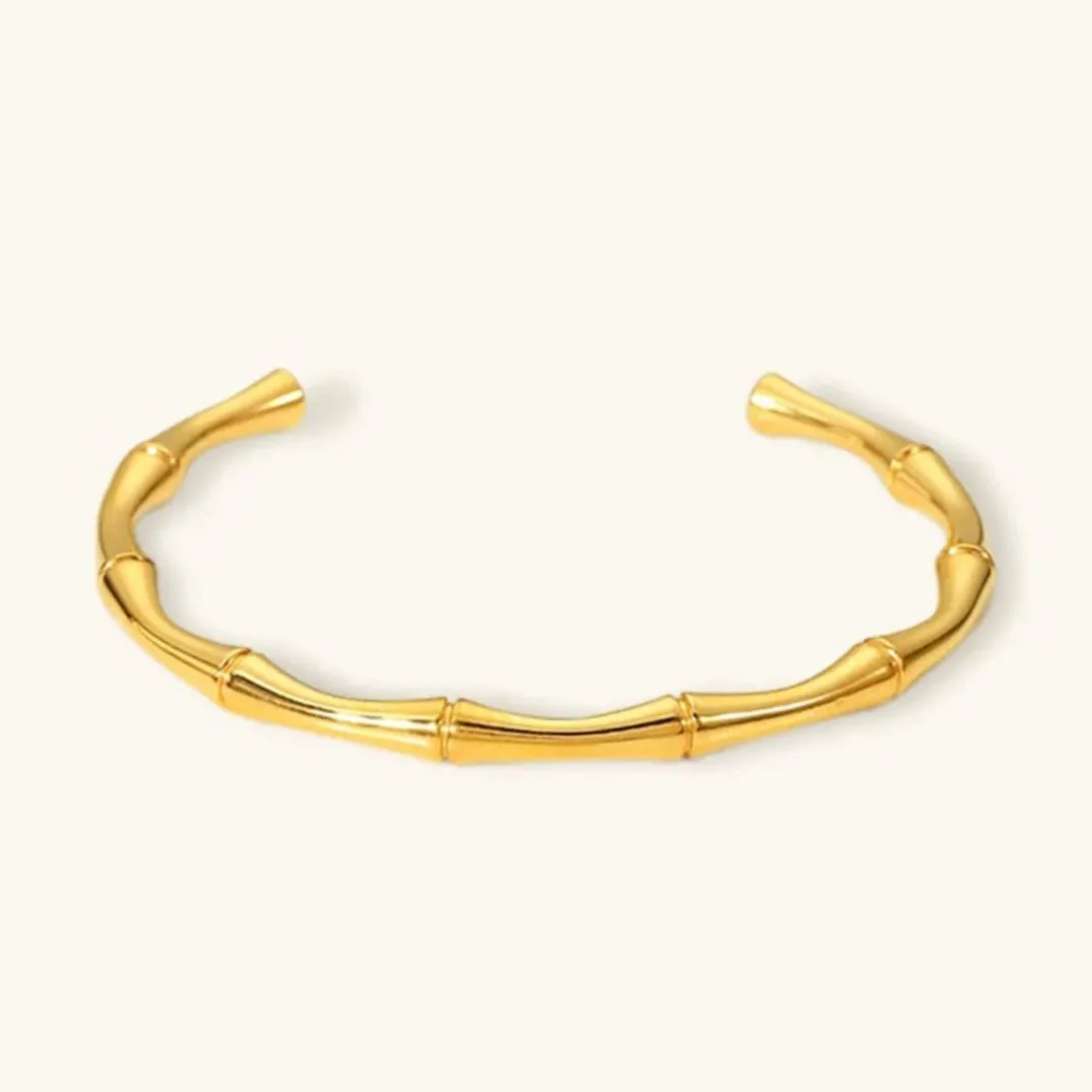 Brielle Gold Bangle