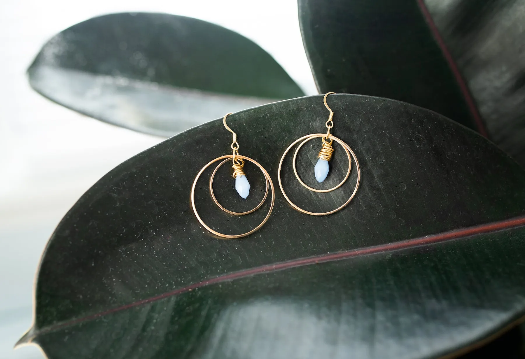 Crystal Orbit Earrings