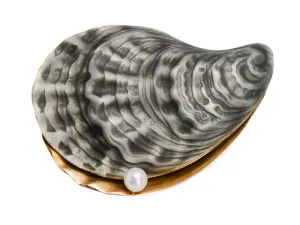 Edwardian Enamel & Gold Oyster Shell Brooch