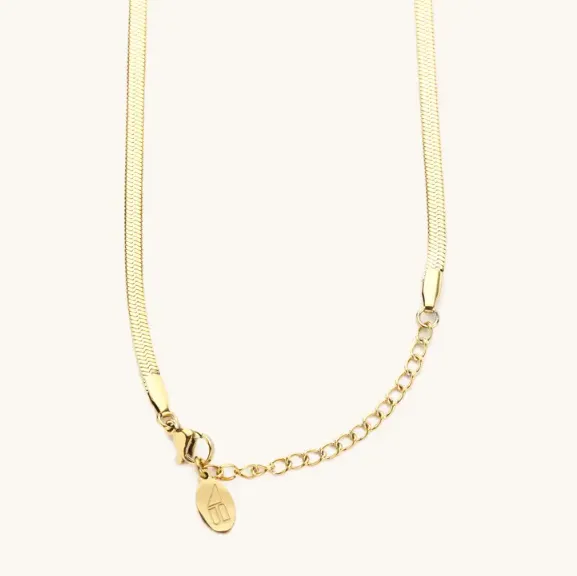 Gold Herringbone Chain Necklace