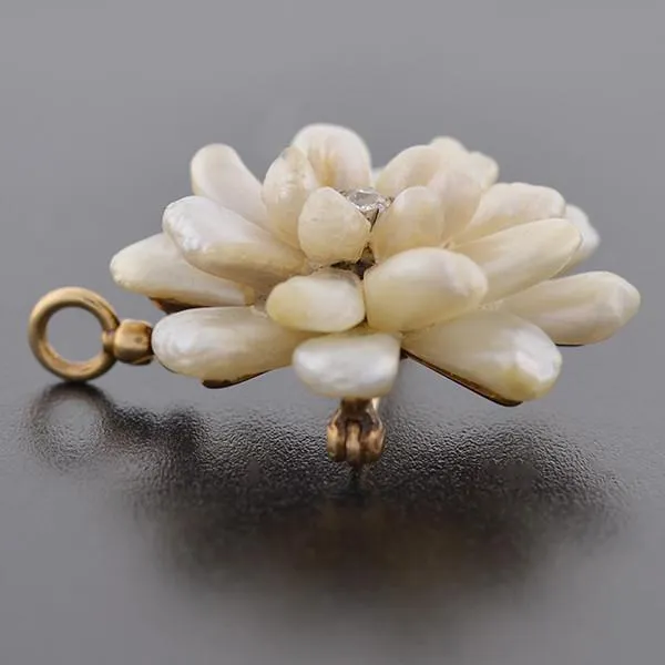 Victorian 14kt Mississippi River Pearl Flower Pin/Pendant